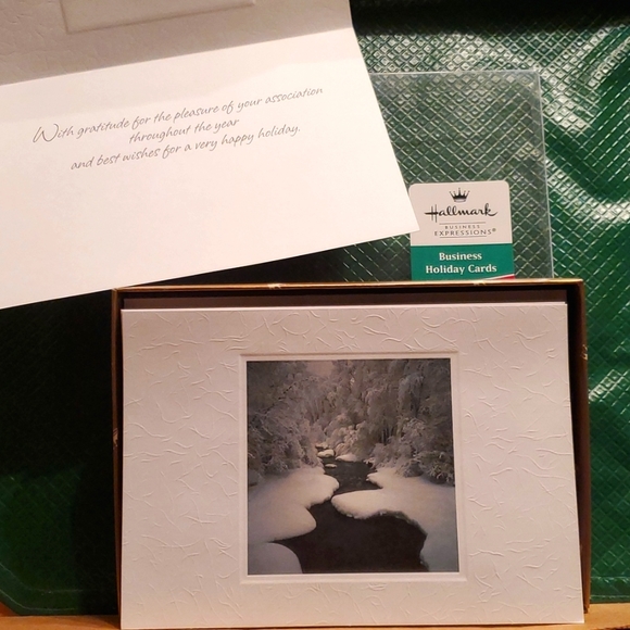 B1/G1, NWT, Hallmark Business Holiday Cards, 18 ct. - Picture 1 of 6